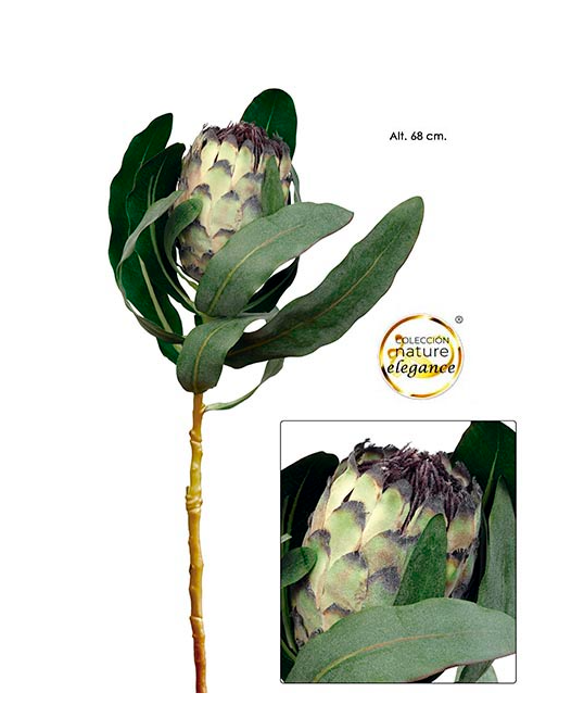 Protea Bege - Real Touch