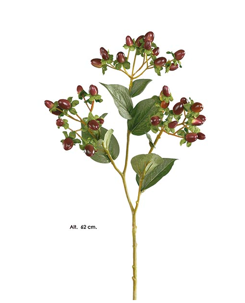 Galho Hypericum - Bordaux