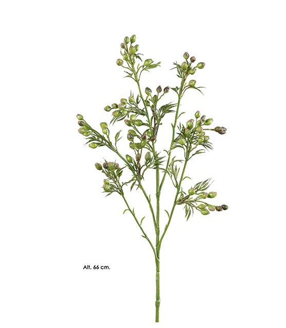 Galho Berry - Verde