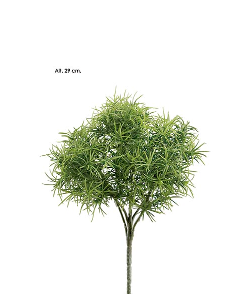 Bush Springeri – Verde