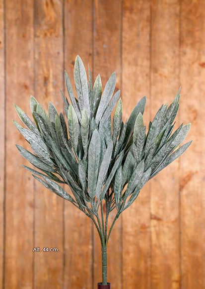Bush Eucalypthus - Verde