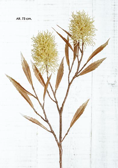 Protea - Amarela