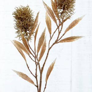 Protea – Castanha Pé de Flor Artificial, mas com toque e aspeto natural