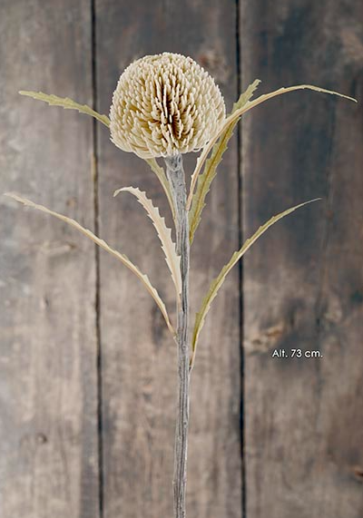 Protea Round - Bege