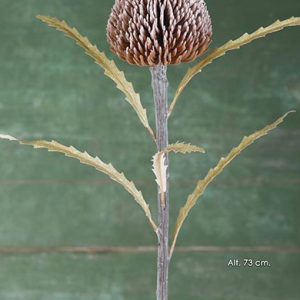 Protea Round – Castanha Pé de Flor Artificial, mas com toque e aspeto natural