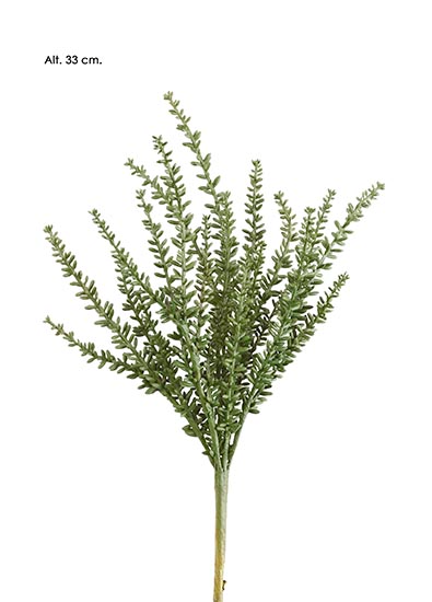 Pick Mini Sedum - Verde
