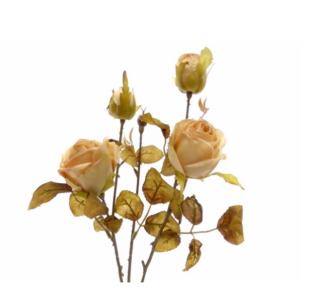 Flor Artificial - Pé de Rosas Efeito Seco Bege