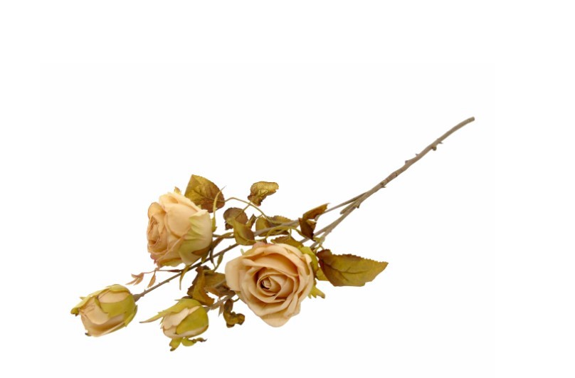 Flor Artificial - Pé de Rosas Efeito Seco Bege