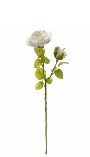 Flor Artificial – Pé de Rosa Efeito Seco Bege