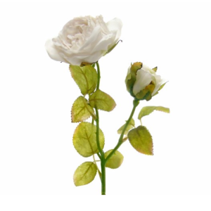 Flor Artificial – Pé de Rosa Efeito Seco Bege Bonito pé de flor – Rosa Efeito muito natural Efeito Flor Seca