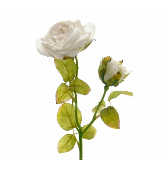 Flor Artificial – Pé de Rosa Efeito Seco Bege