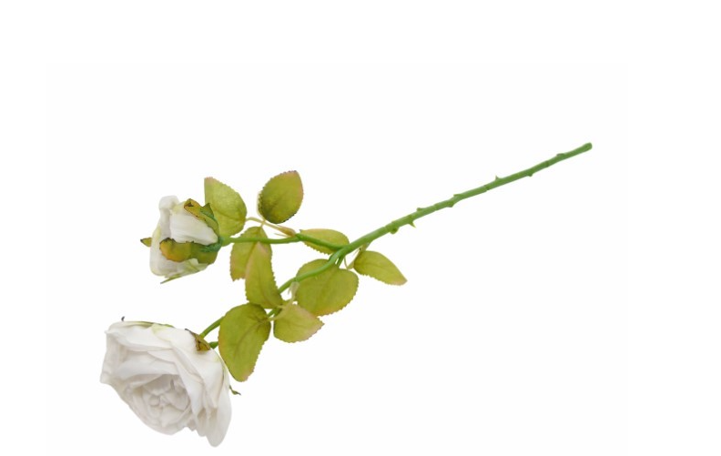 Flor Artificial – Pé de Rosa Efeito Seco Bege