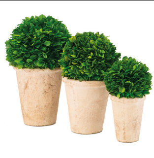 Set 3 Vasos com Buxos Preservados