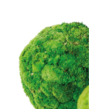 Esfera Musgo Bola Preservada - 30 Cms