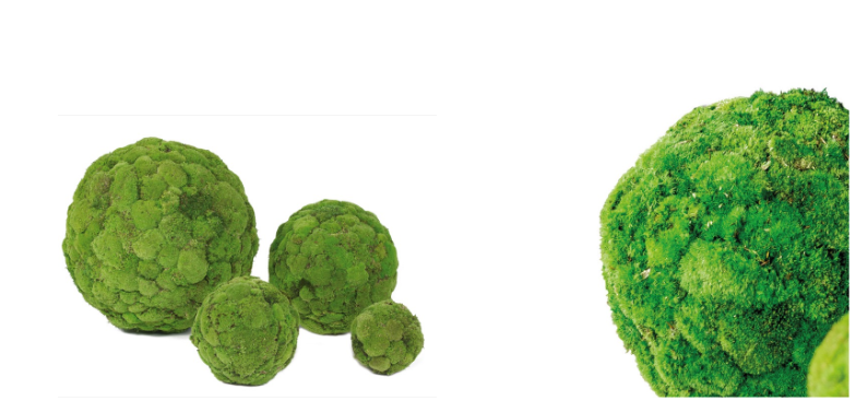 Esfera Musgo Bola Preservada - 30 Cms