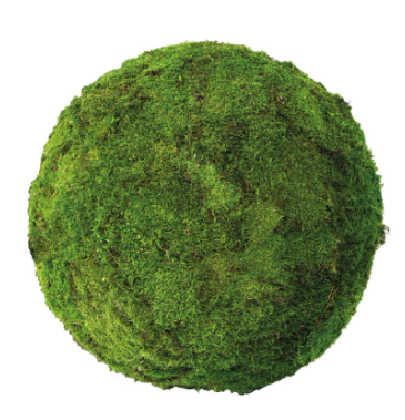 Esfera Musgo Plano Preservado – 30 Cms