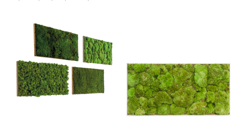 Painel Musgo Bola Preservado