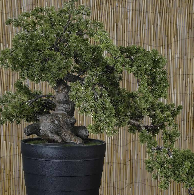 Bonsai Artificial - 50 Cms