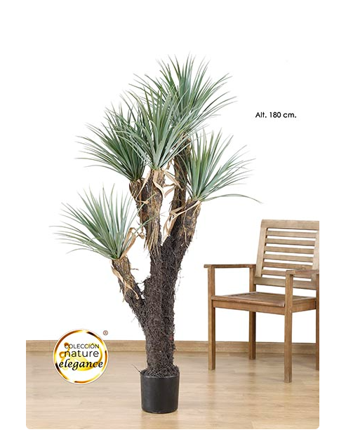 Yucca Planta - Real Touch (180 cms)