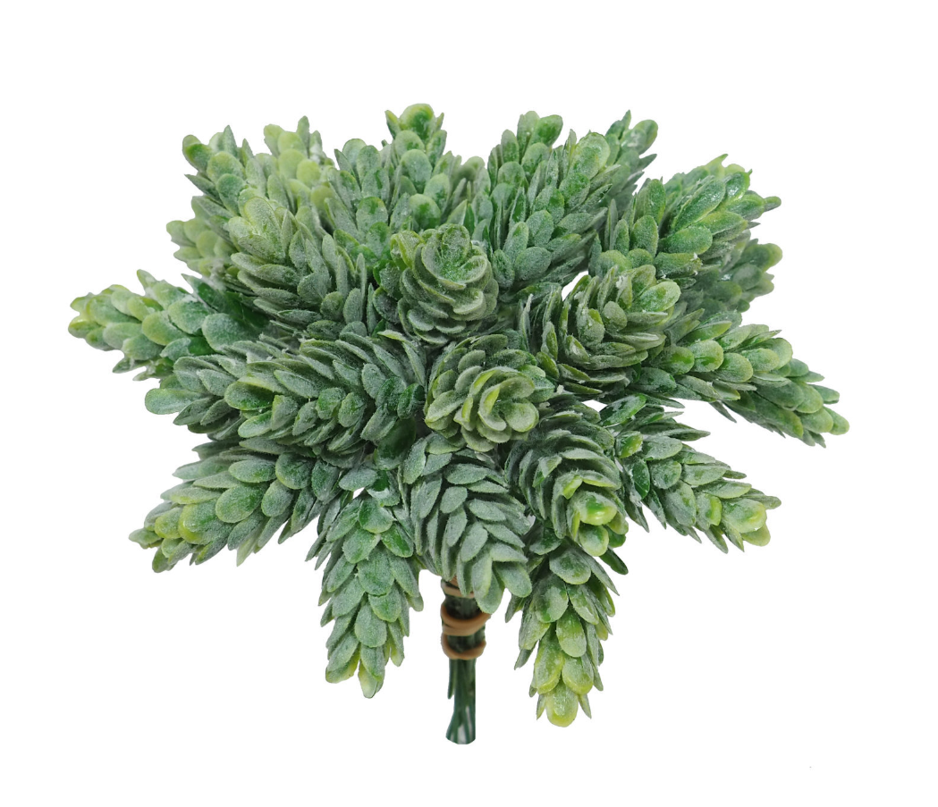 Ramo Cactus Pinha (6 picks) - 20 cms