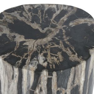 Mesa Apoio - Madeira Petrificada Bonita mesa em madeira petrificada com cerca de 6 milhões de anos. Madeira petrificada é um material natural. Portanto, podem ocorrer variações de cor e estrutura. A madeira petrificada é o resultado de uma árvore que foi completamente transitada para a pedra pelo processo de per mineralização. Todos os materiais orgânicos (isto é, madeira) foram substituídos por minerais (na sua maioria um silicato, como quartzo), mantendo ao mesmo tempo a estrutura original do tecido do caule. Portanto, a madeira petrificada é uma representação tridimensional do material orgânico original. O processo de petrificação ocorre no subsolo, quando a madeira fica enterrada sob sedimento e é inicialmente preservada devido à falta de oxigénio que inibe a decomposição aeróbia. Água mineral-carregada que flui através dos sedimentos deposita minerais nas células da planta; à medida que a lignina e a celulose se degradam, forma-se um molde de pedra no seu lugar. A madeira petrificada tem entre 6 a 20 milhões de anos.