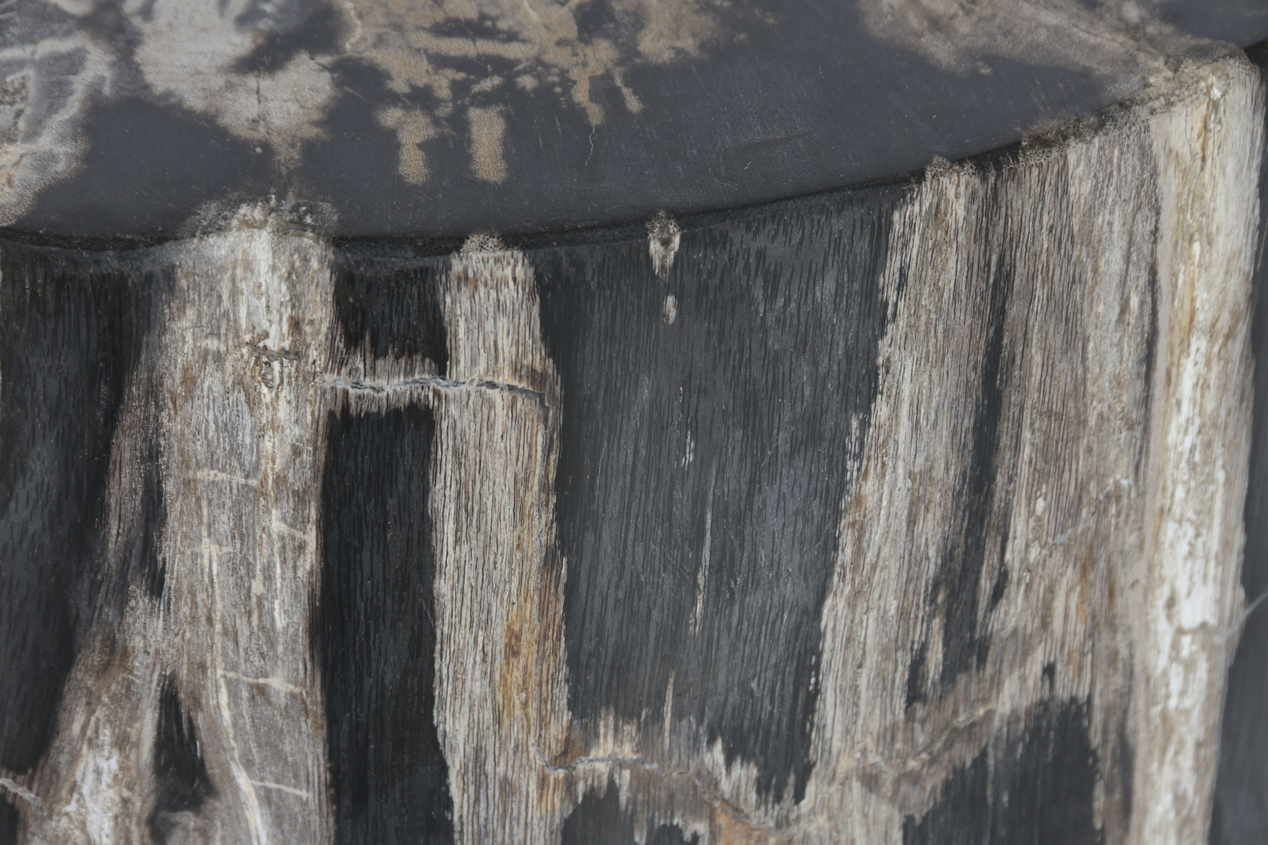 Mesa Apoio - Madeira Petrificada