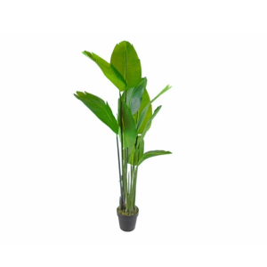 Planta Artificial - Estrelícia Bonita Planta artificial, mas com toque e aspeto natural