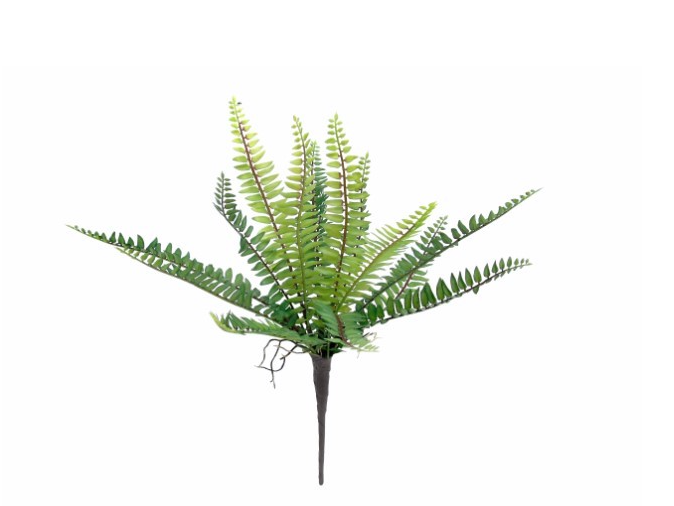 Pé de Flor – Ramo de Fetos