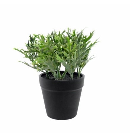 Planta Artificial em Vaso  - Rhynia