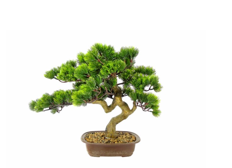 Bonsai Artificial – 43 cms
