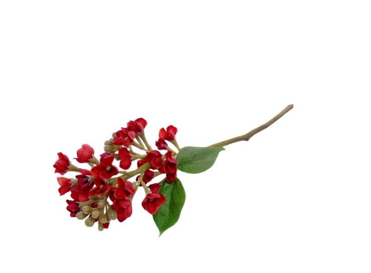 Pé de Flor – Vermelho