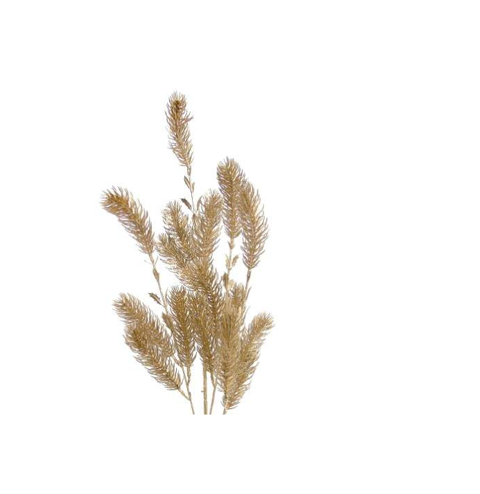 Pé de Folhagem Dourado/Champanhe – 2