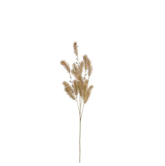 Pé de Folhagem Dourado/Champanhe – 2