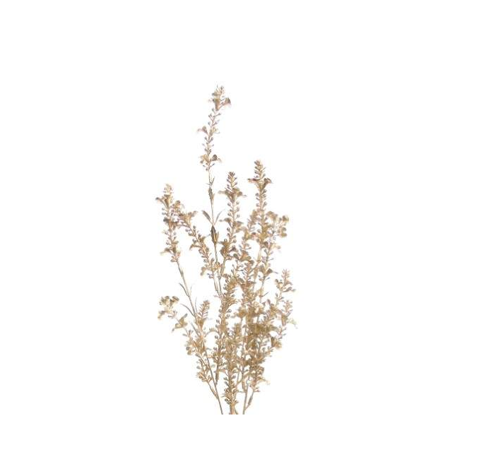 Pé de Folhagem Dourado/Champanhe – 4