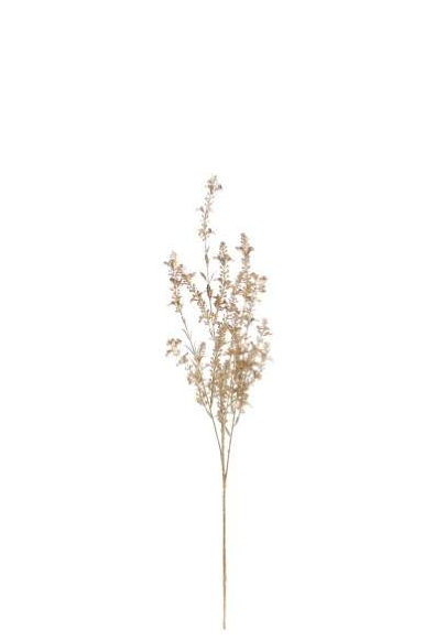 Pé de Folhagem Dourado/Champanhe – 4