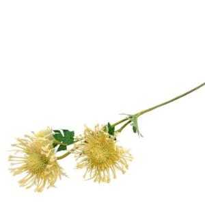 Pé de Flor Artificial - Pompons Bege Bonito pé de flor artificial, mas com toque e aspeto natural