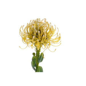 Pé de Flor Artificial – Bege Bonito pé de flor artificial, mas com toque e aspeto natural