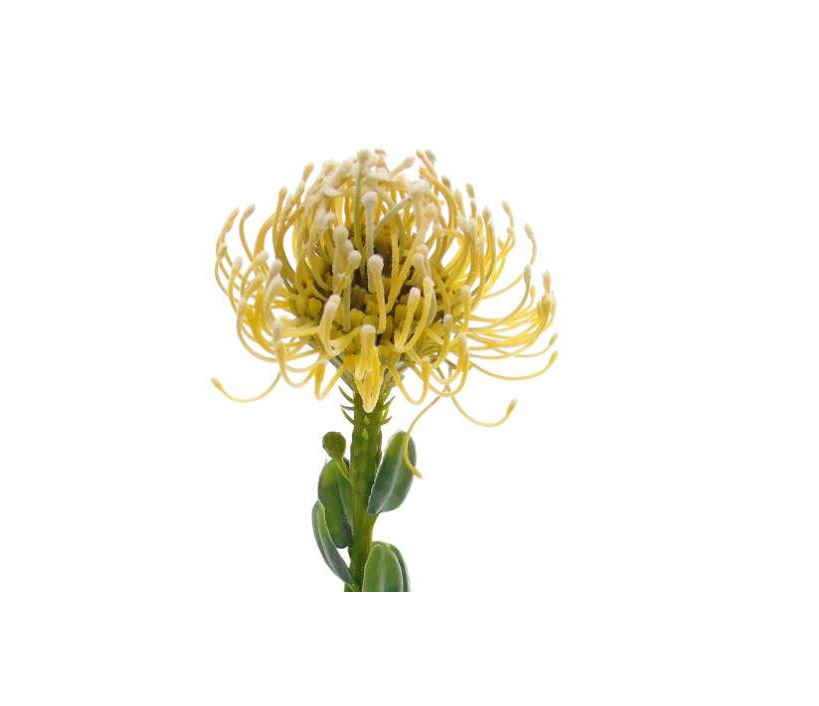 Pé de Flor Artificial – Bege Amarelado